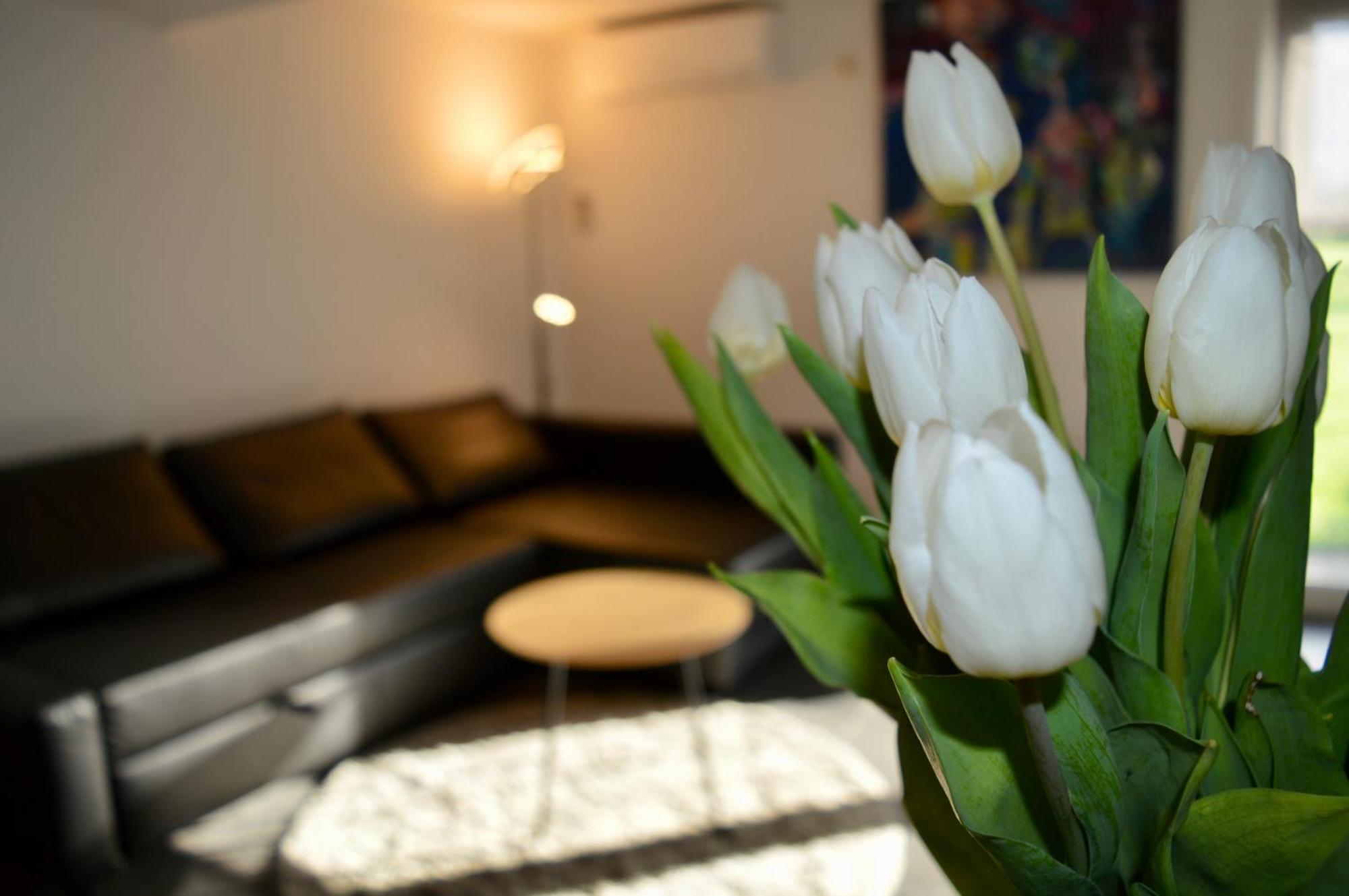 Hoeve De Sterappel トンヘレン エクステリア 写真